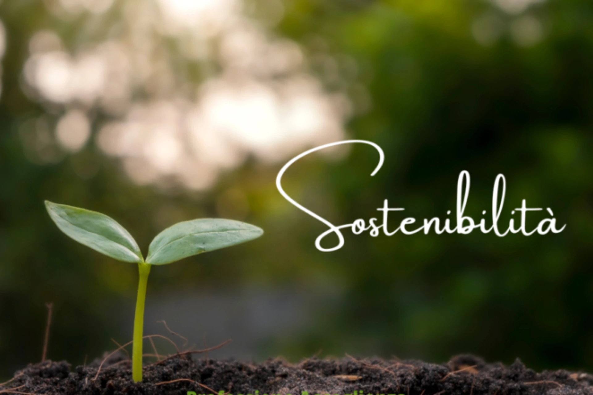 Turismo e sostenibilità: gli italiani scelgono viaggi eco-friendly